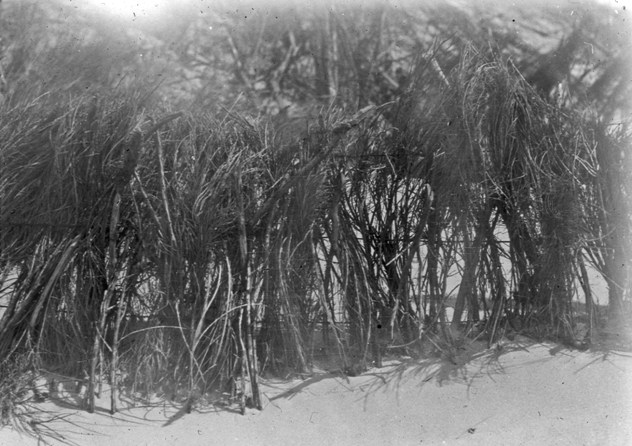 Roseisle Forest foreshore Comp 40