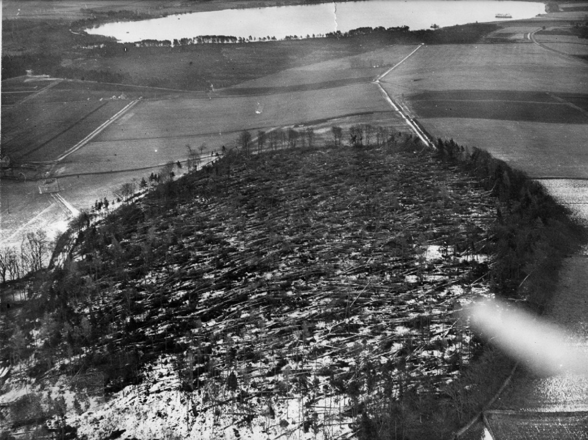 Dunecht Estate &mdash; Gale damage 1953