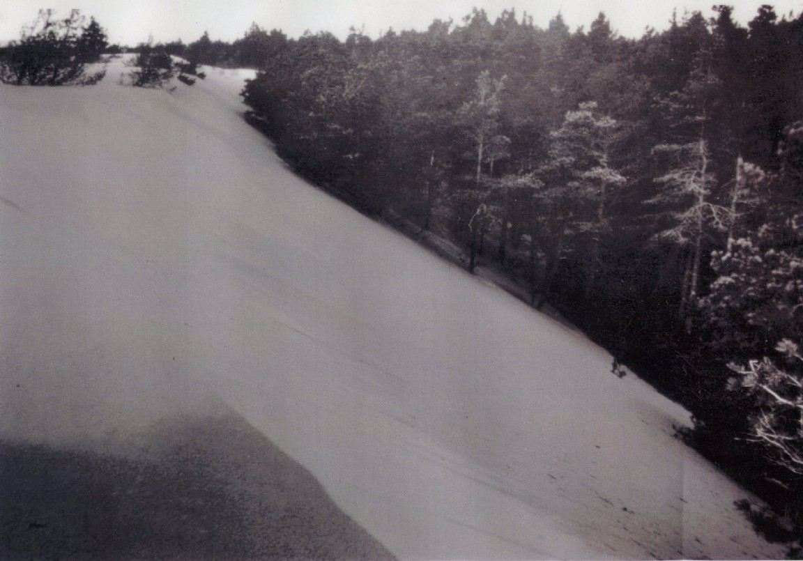 Culbin Forest large sand dune