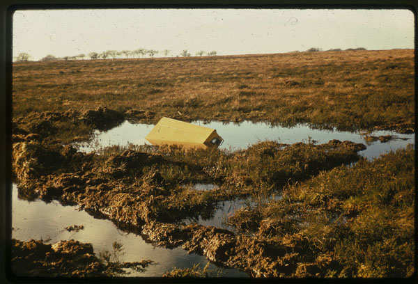Whitelees Forest - A step too far!