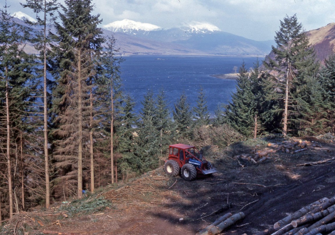 Extracting timber with Falstone at South Strome