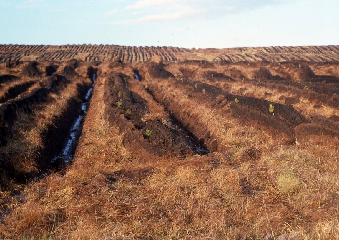 Stepped Ploughing at North Strome