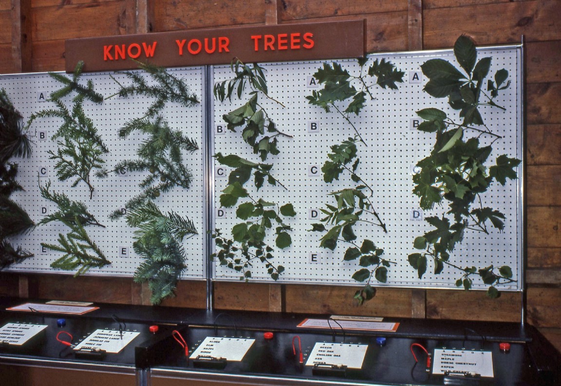 Forestry Commission tent - Portree Show