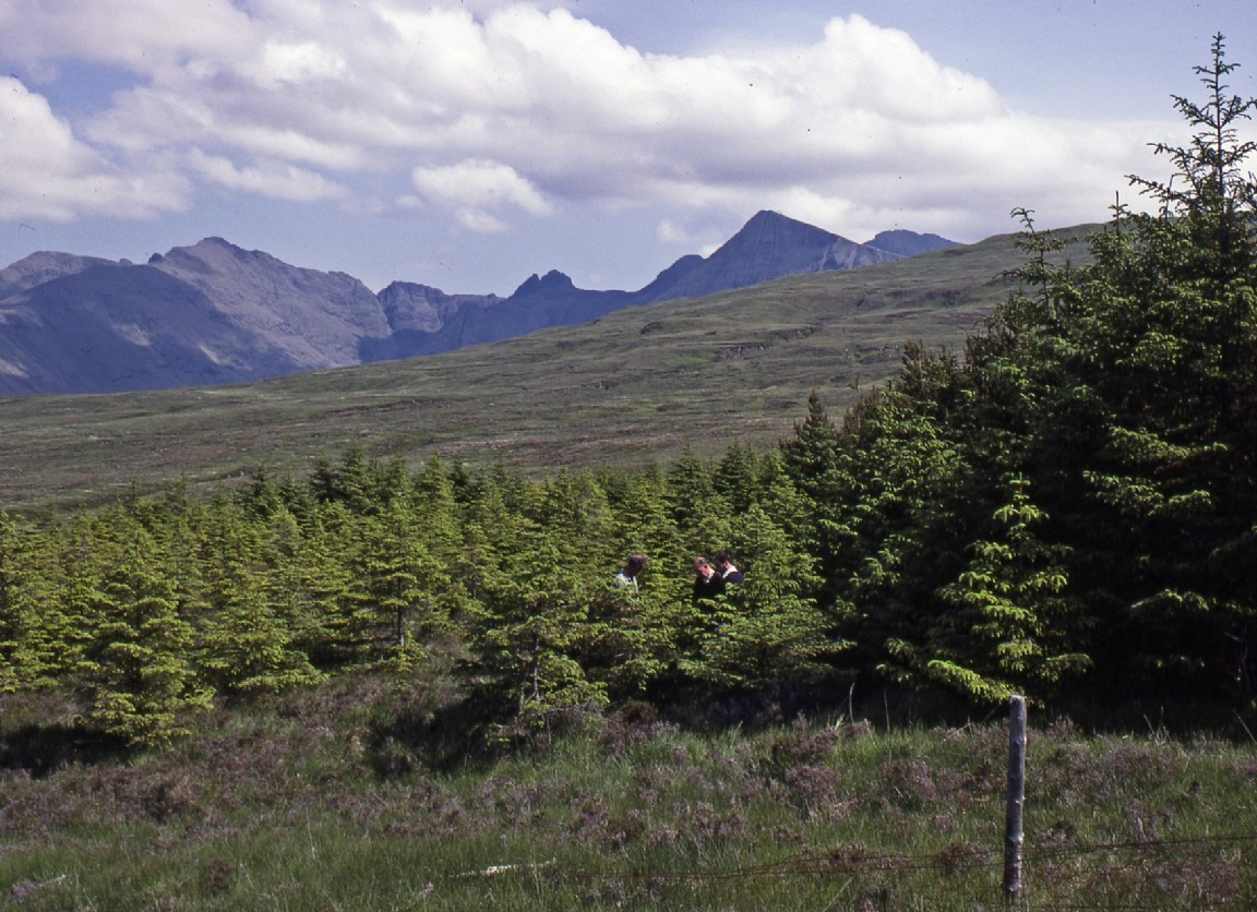 High Elevation Plot Gleneynort Skye