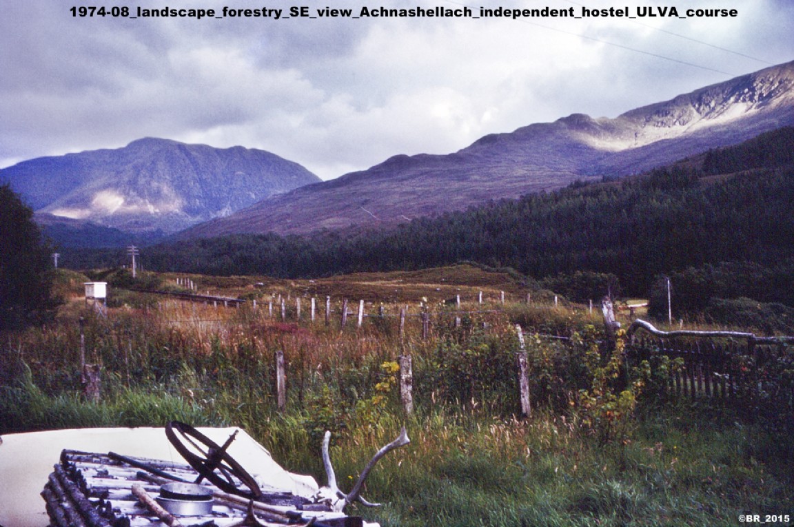 View from private hostel at Achnashellach Forest