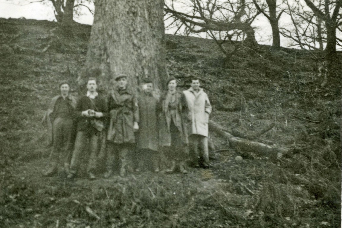 Students at tallest Tree in UK-Ardkinglass Estate