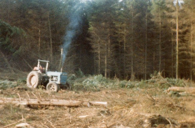 Extracting Timber by winch &mdash; Panmure Estate