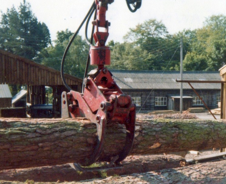 Loading the log haul at Panmure Estate