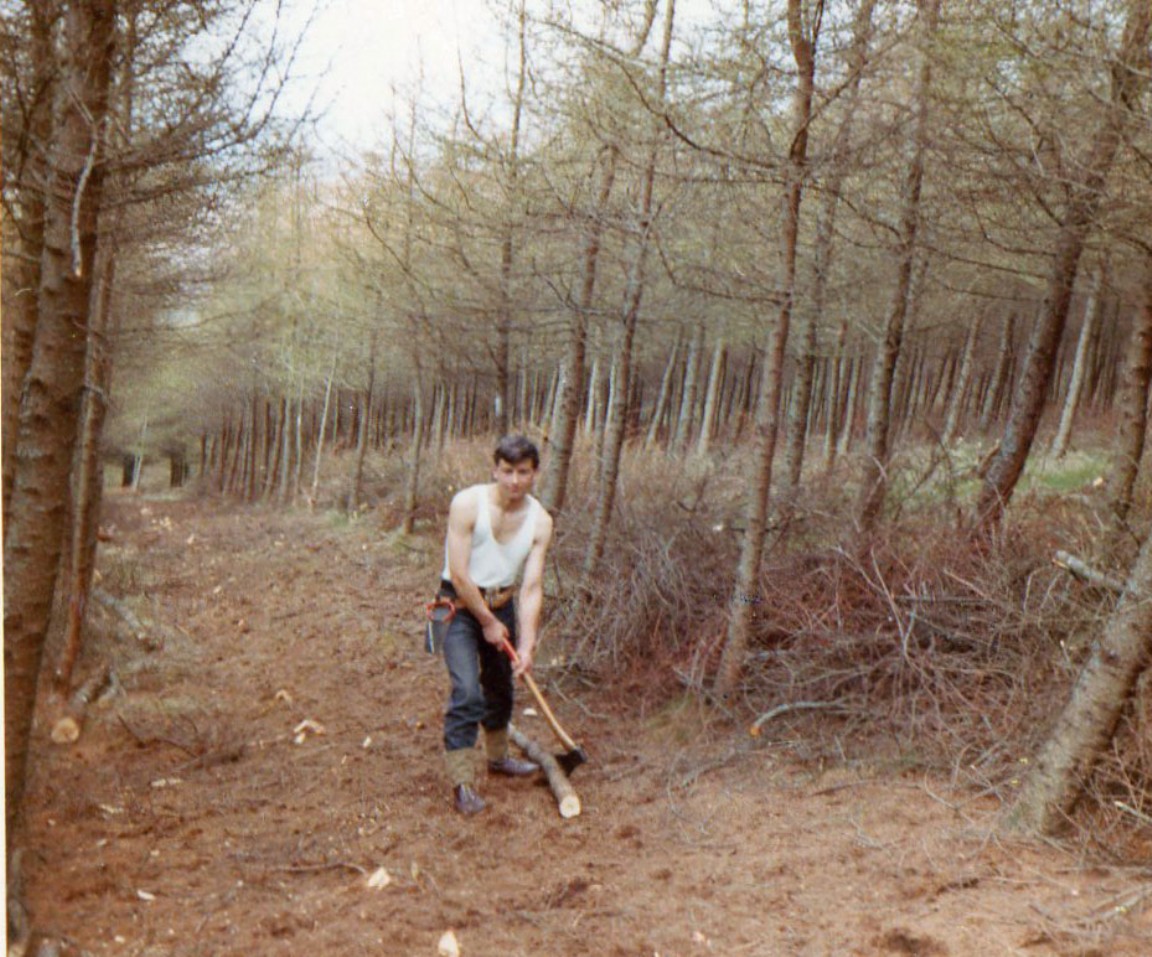 Leslie Phillip snedding out larch thinnings