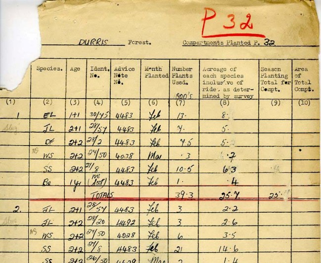 Annual Planting Record Durris Forest 1932-68