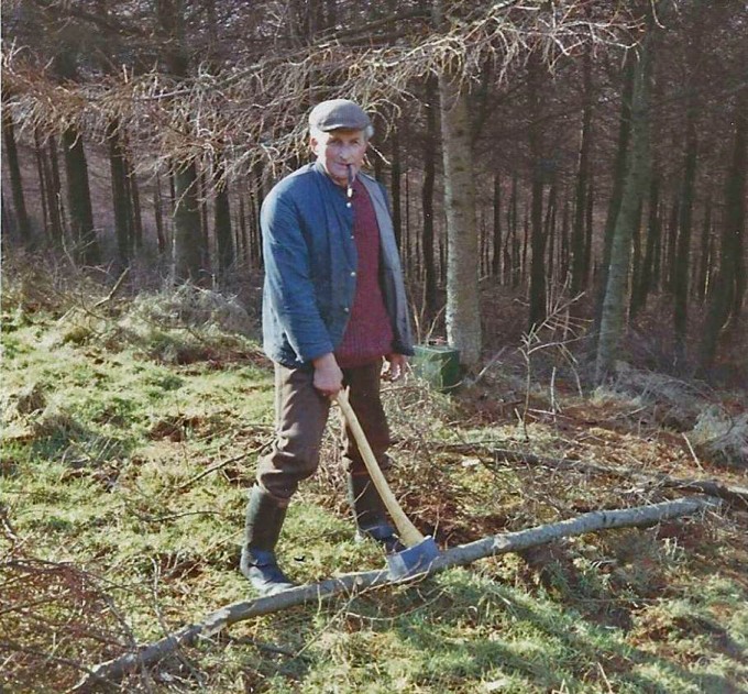 Cutting larch for the rustic wood market