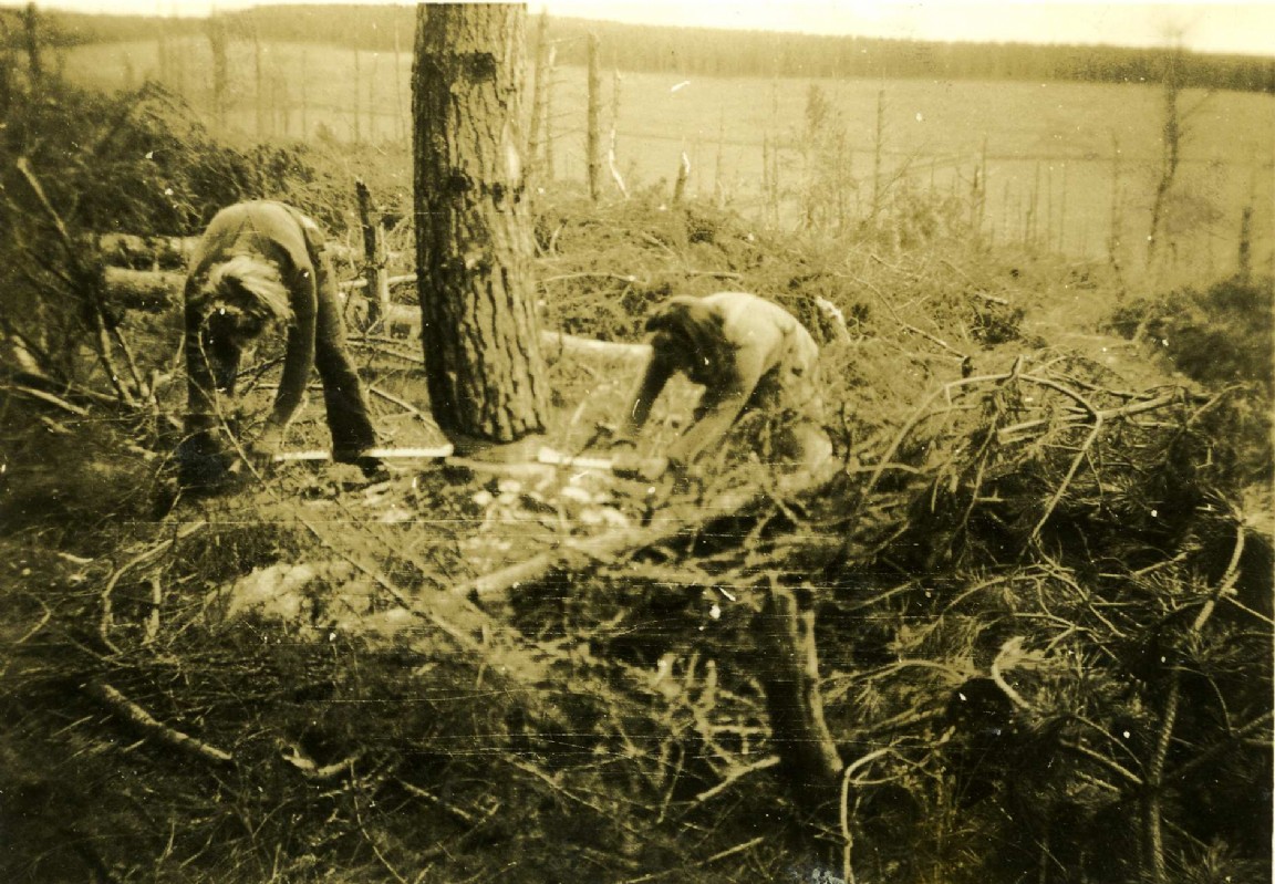Timber Jills felling trees  Garlogie or Corsindae