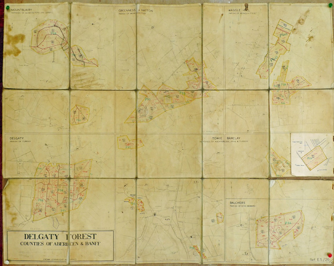 Delgaty Forest Planting Map