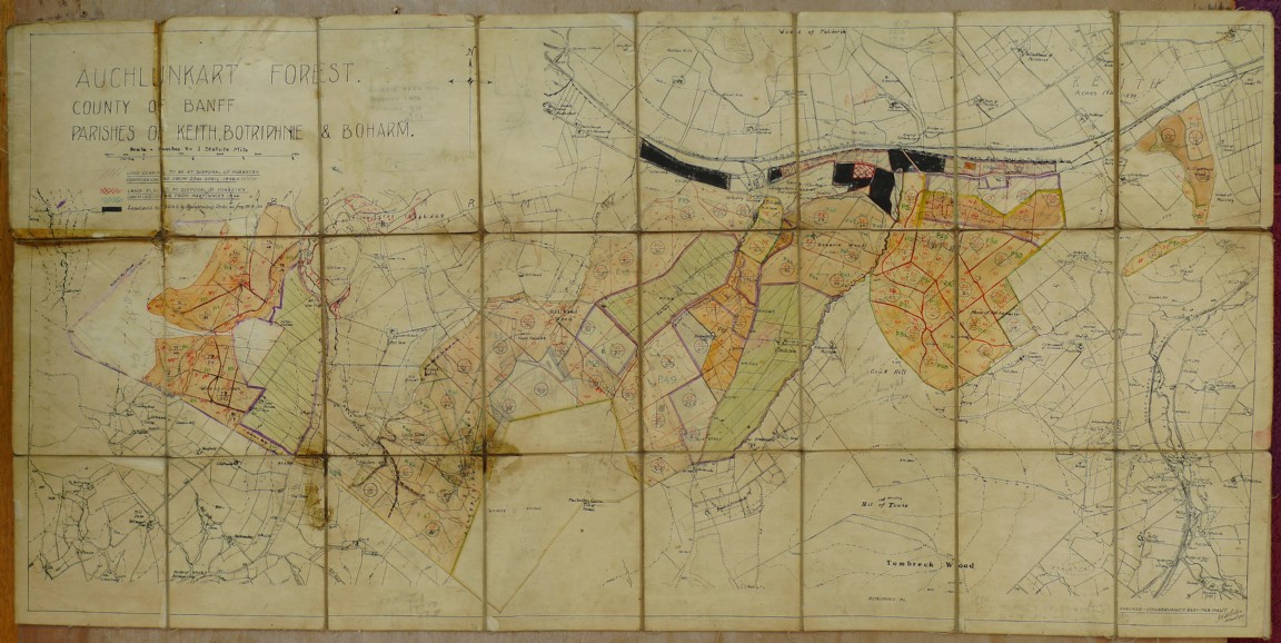 Rosarie Forest Planting Map 