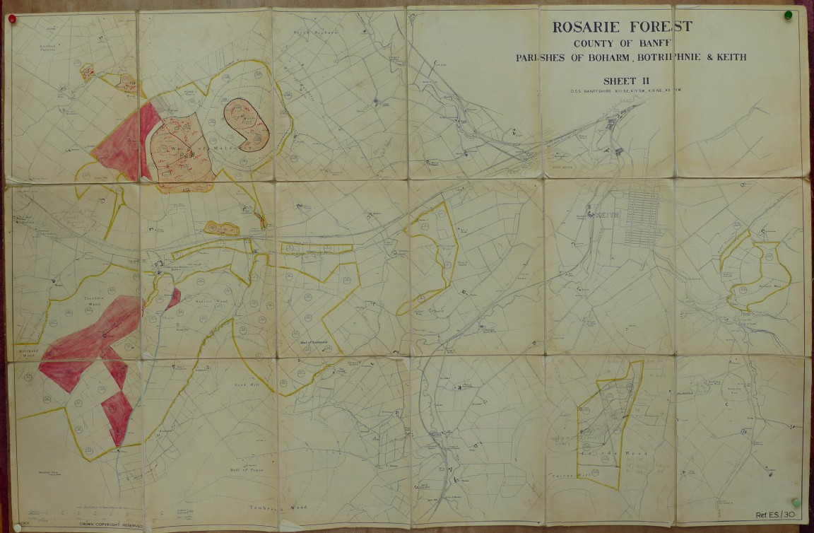 Rosarie Forest areas near Keith