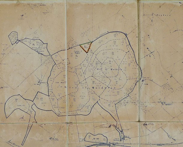 Part of Rosarie Forest as at 1968