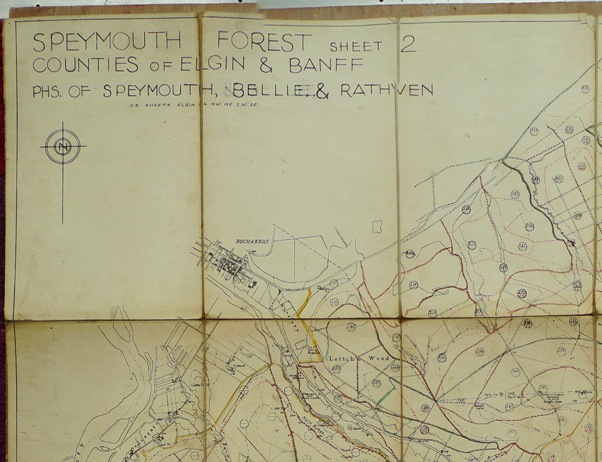 Hand drawn Speymouth Forest Map No2