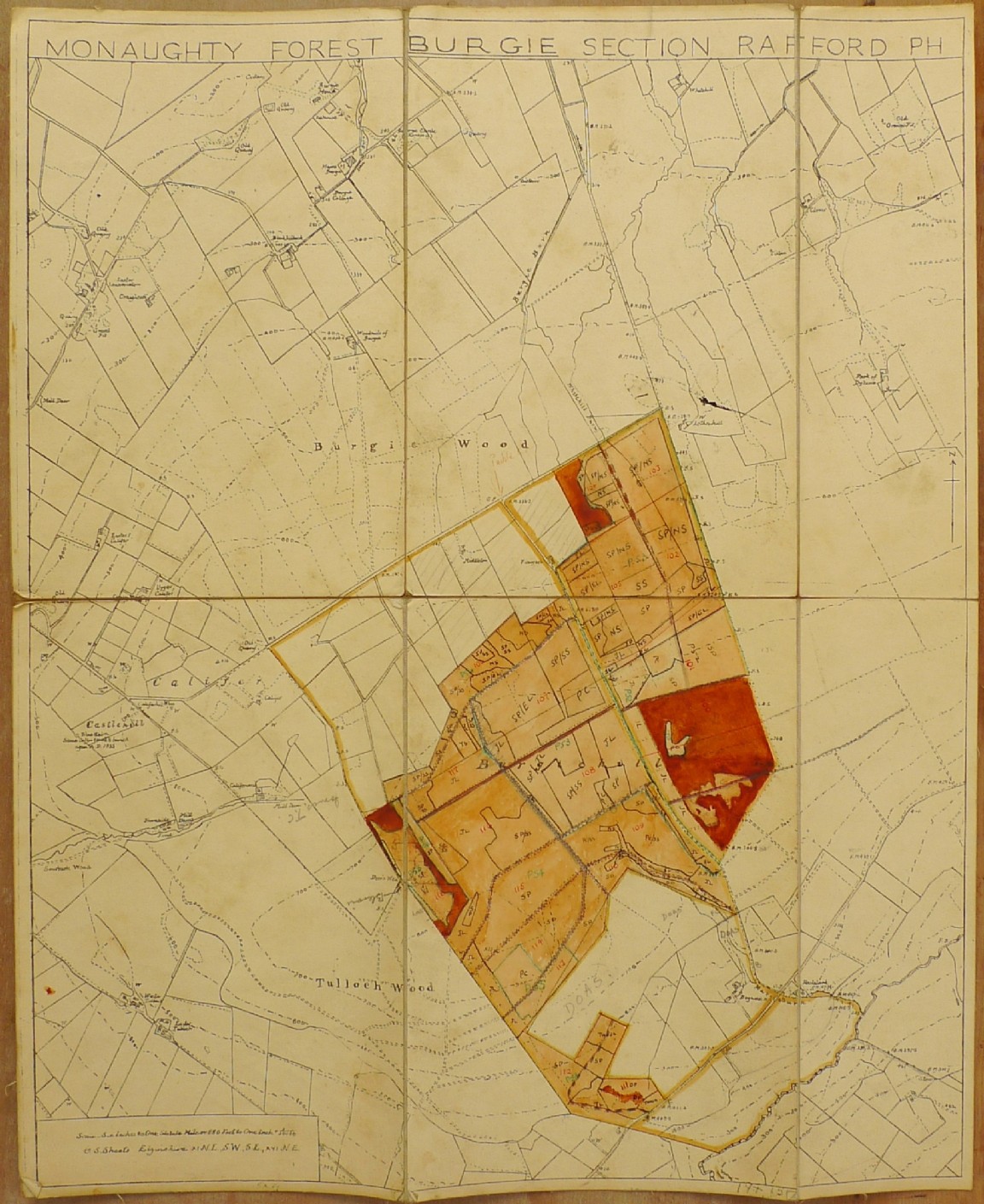 Monaughty Forest � Burgie Wood 1955