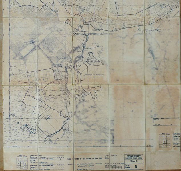 Monaughty Forest � Hill of the Wangie
