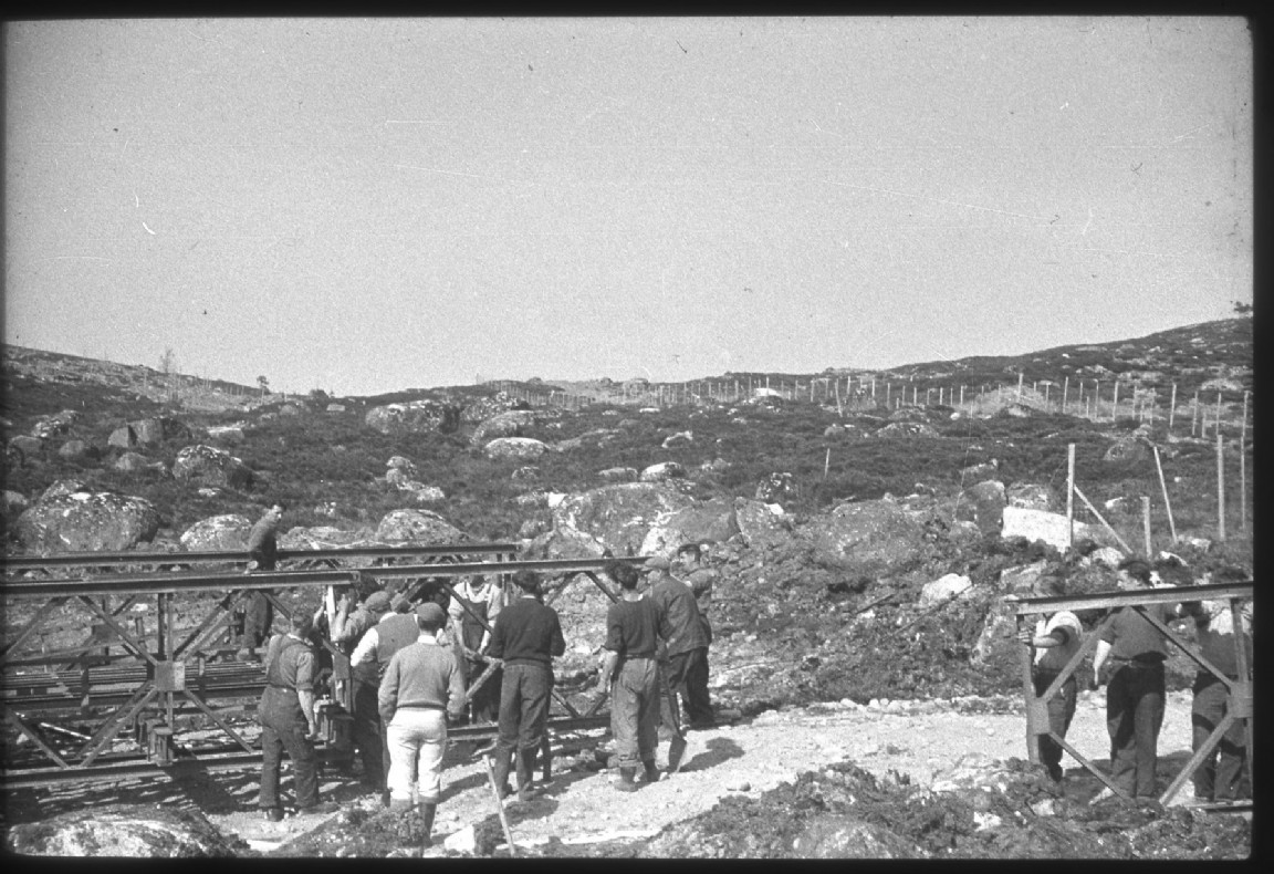 Building Bailey Bridge at Ardross Forest