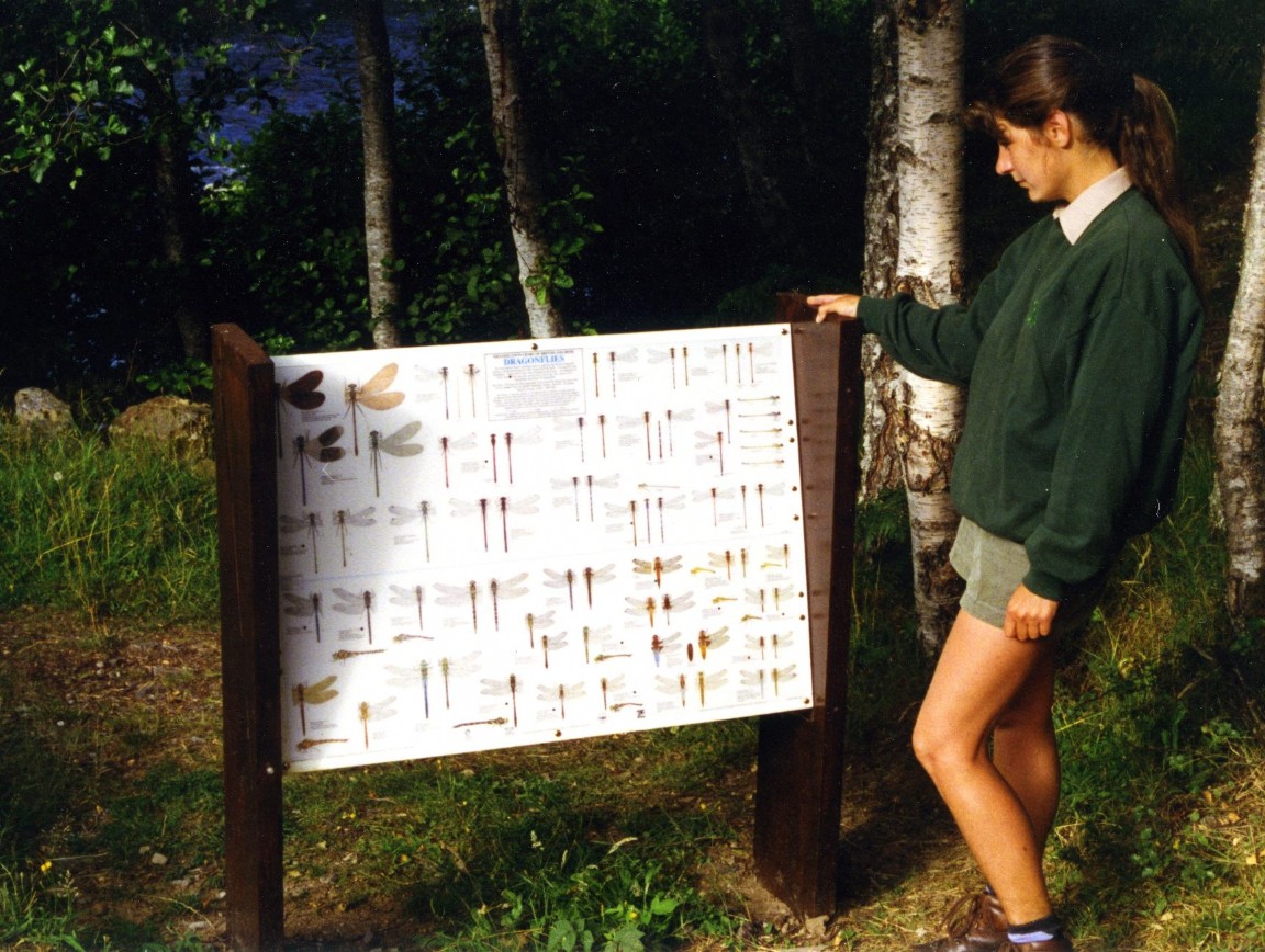 Dragonfly board at Dog Falls Car Park, Affric.