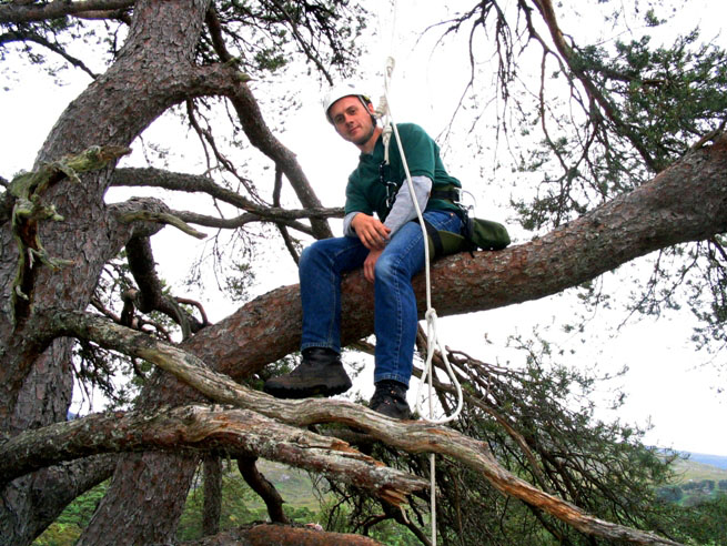 Tree climbing course Glen Affric