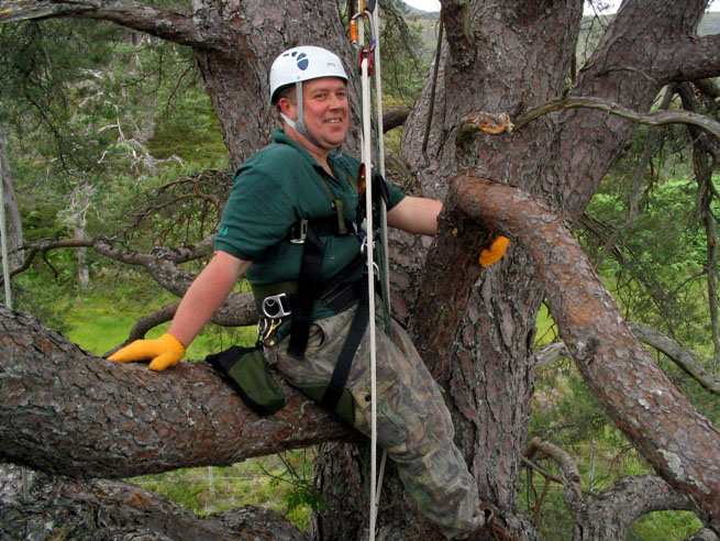Tree climbing course Glen Affric