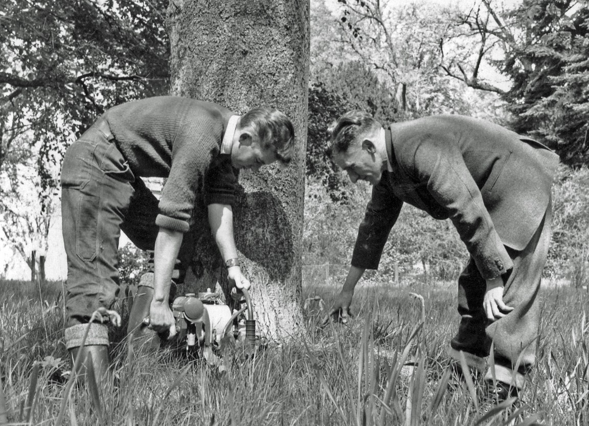 Darcy Black instructing in use of the chainsaw