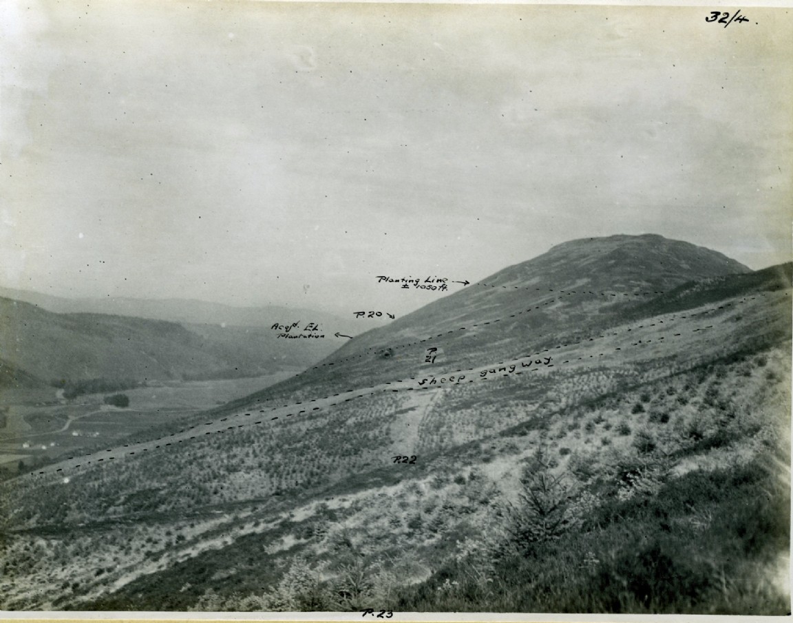 South Laggan Forest Planting 1920-1923