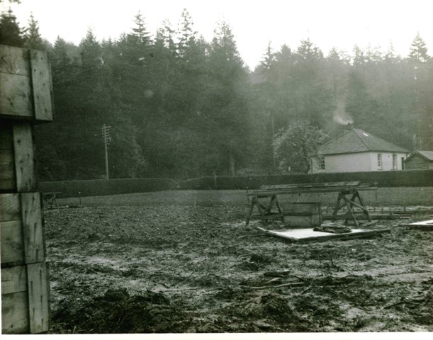Uig Nursery - Benmore nr Dunoon Argyll