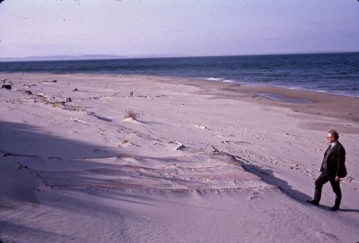 Culbin Forest shoreline sand stabilisation