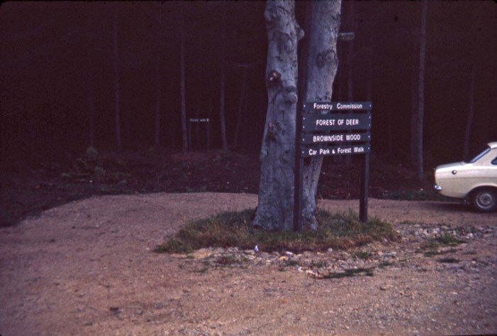 Brownside Wood car park - Forest of Deer