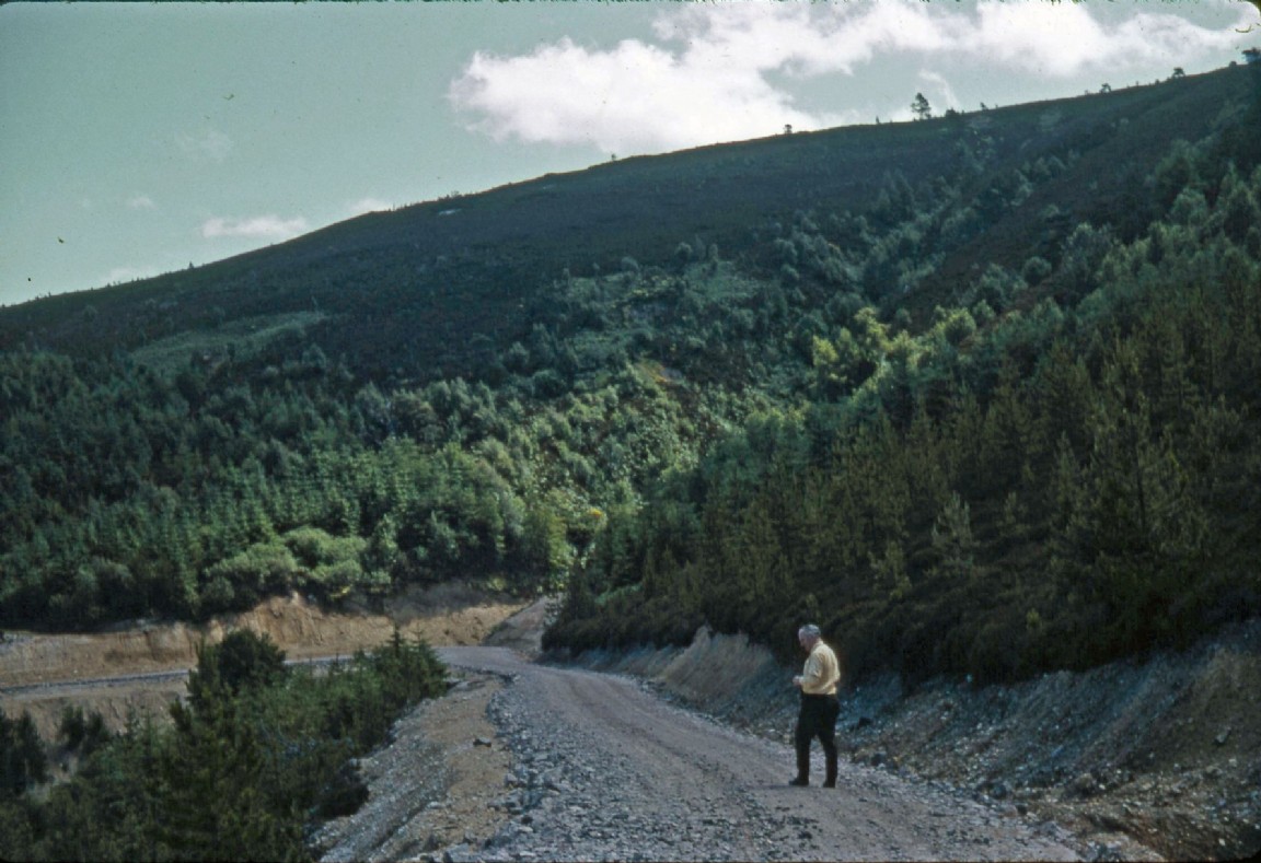 Craigellachie Forest - New road works