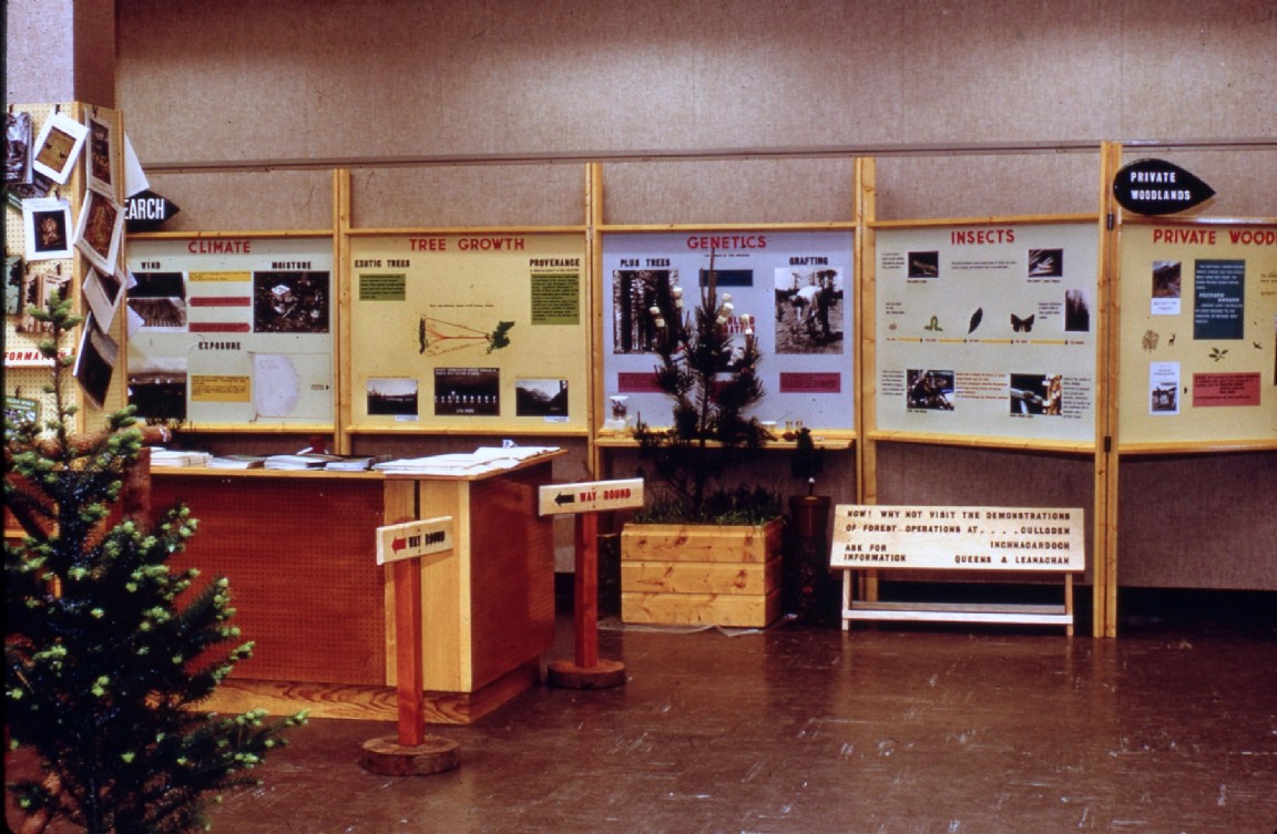 50th  Anniversary  of Forestry Commission 