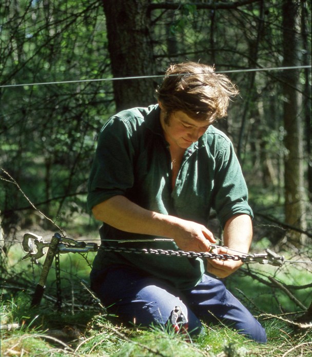 Fencing at Laigh of Moray Forest