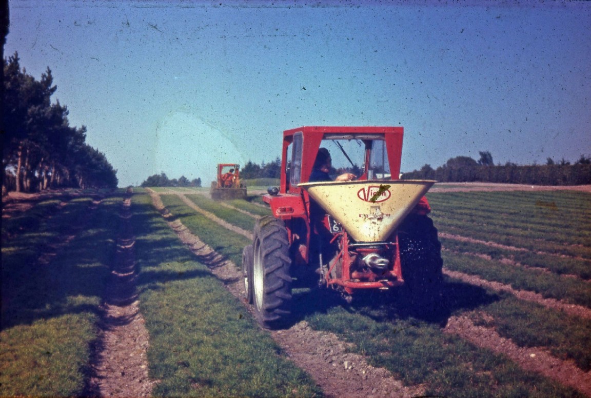 Fertilising Nursery  Seedbeds