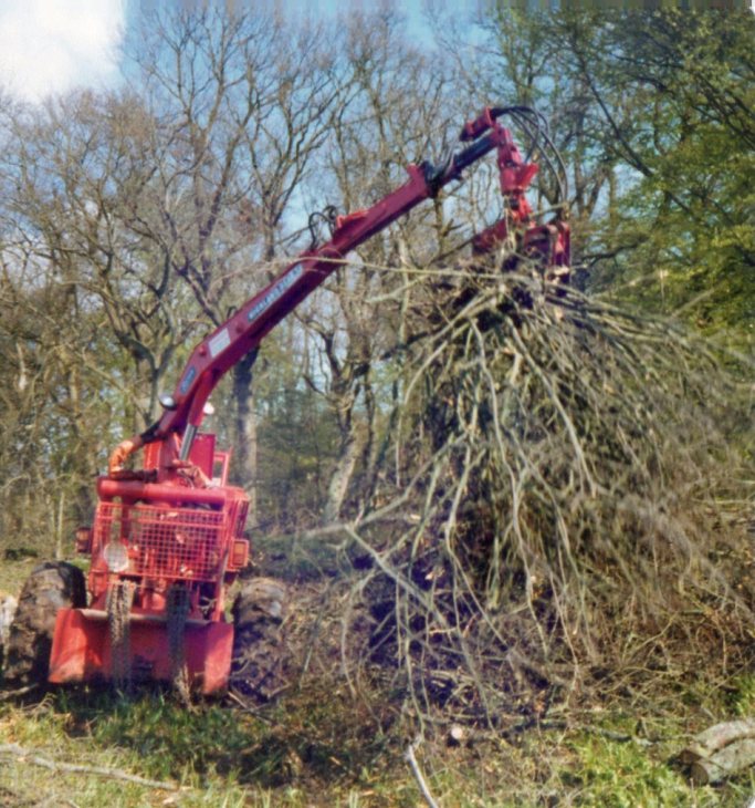 Highland Bear working,Panmure Estate, Carnoustie