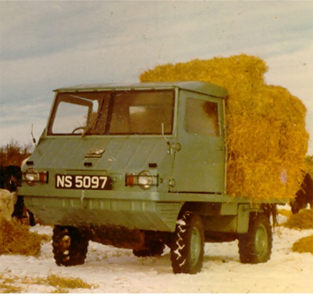 Ex-forestry truck put out to grass...