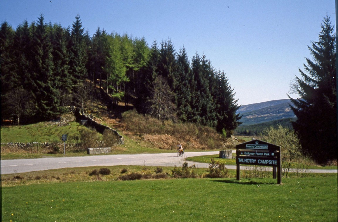 Signage for Talnotry campsite, Glen Trool Forest