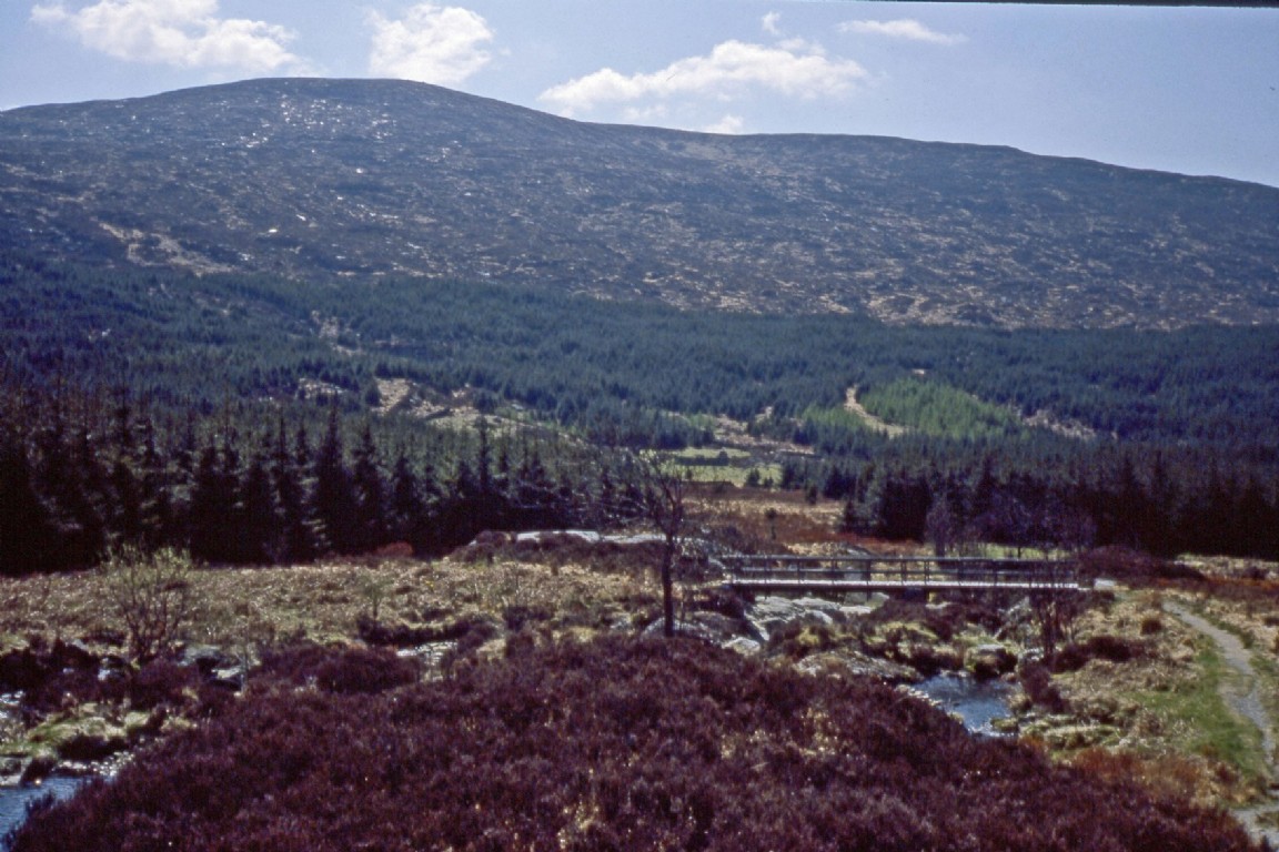 New footbridge and path