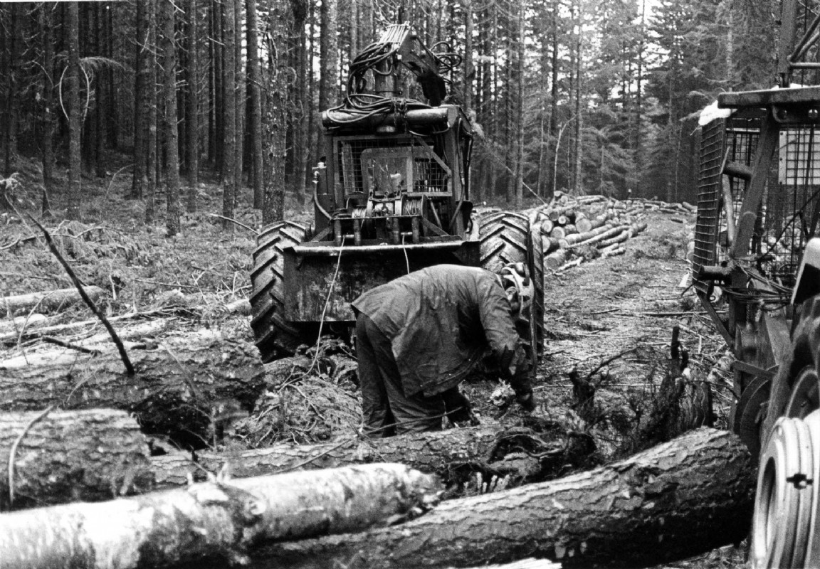 Extracting Douglas fir at Dalcattaig Invermoriston