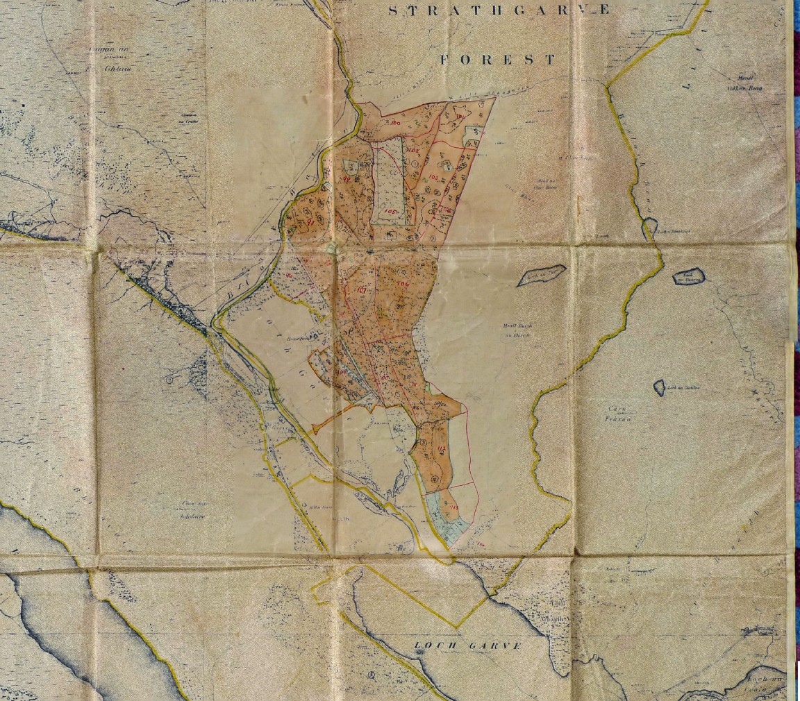 Garve Forest - Planting map