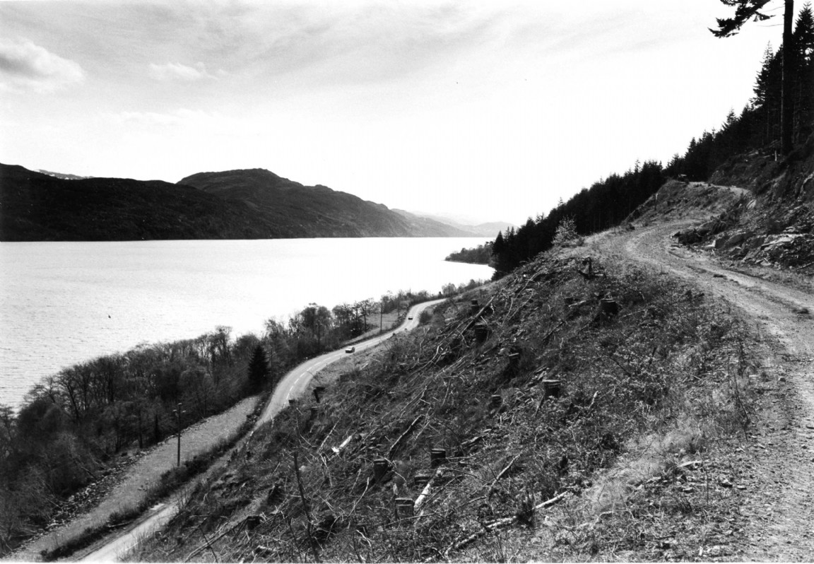 Altsaigh slopes above A82 - Loch Ness