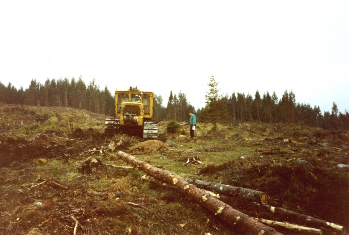 Caterpillar D7 ploughing felled site