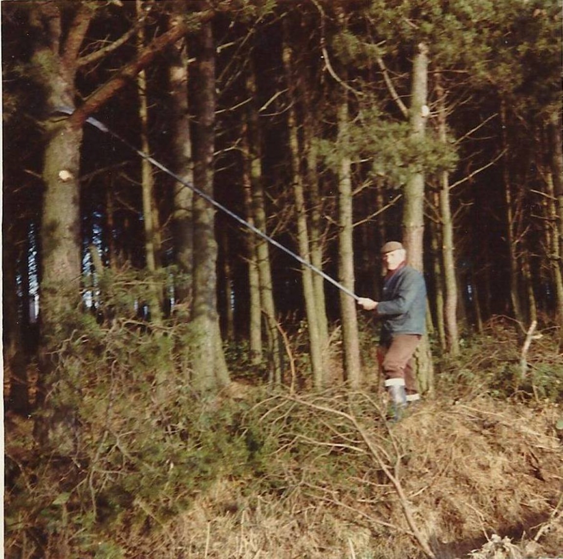 David Phillip on Lour Estate