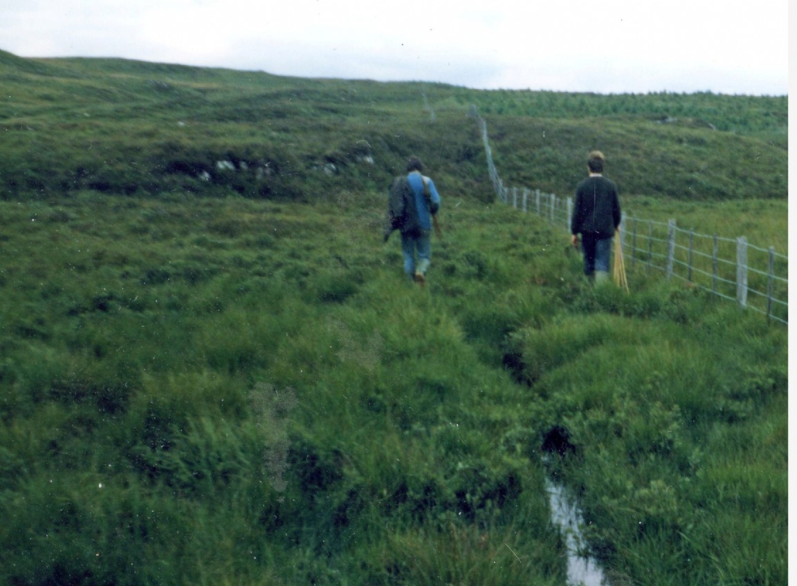 New Fence Corrimony in Glenurquhart Forest