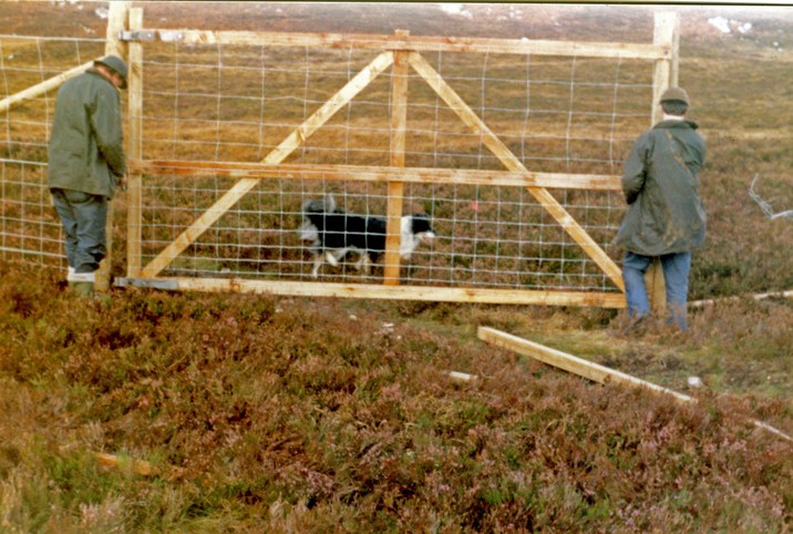 Corrimony Fence construction