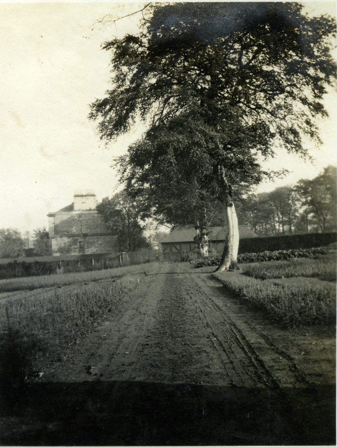 Botanic Gardens Nursery