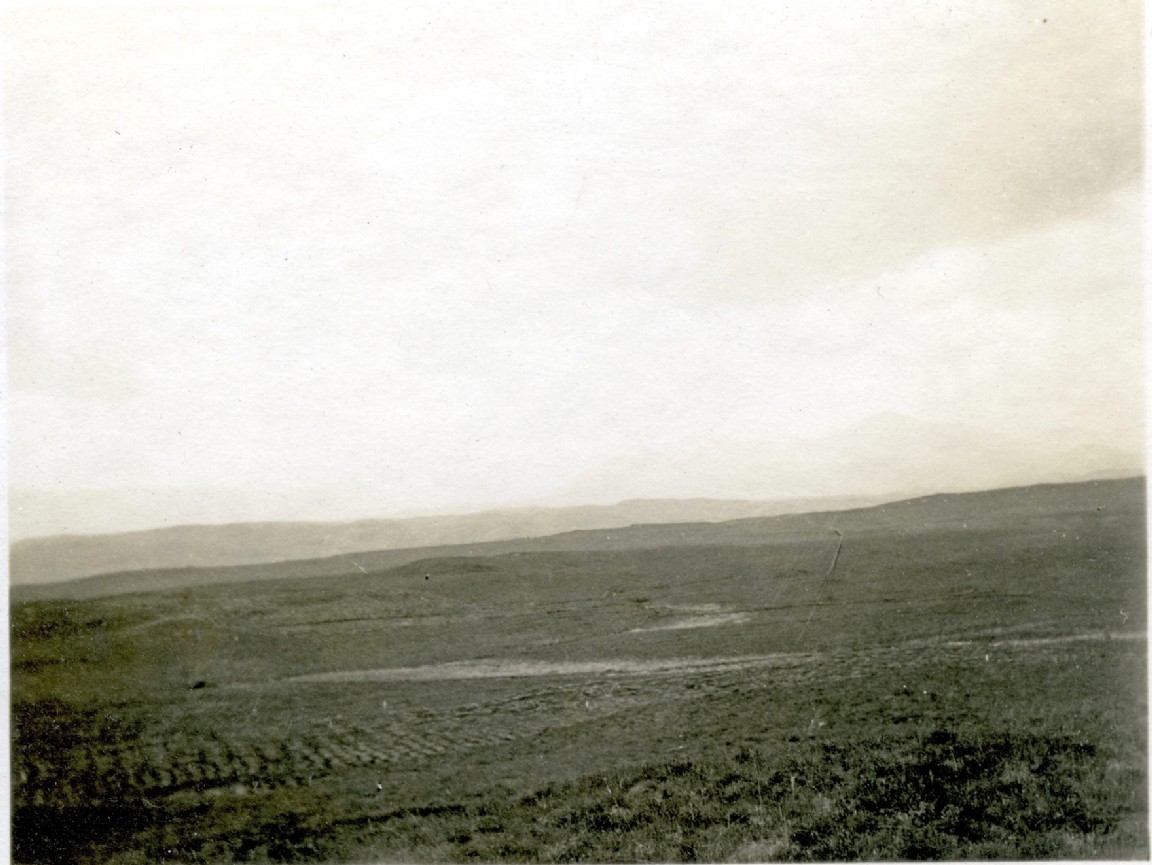 Inchnacardoch  Forest