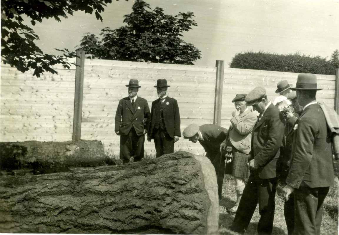 Highland and Agricultural Show 1931